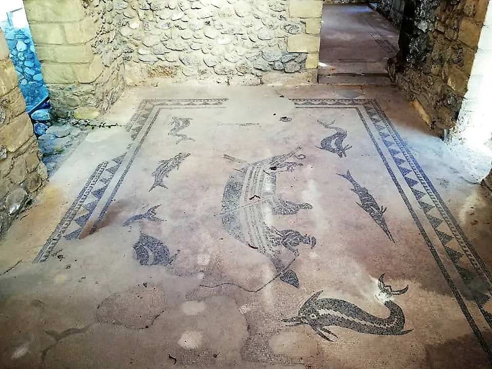 A black-and-white mosaic floor inside a border of dark triangles, showing a boat with several figures aboard in the centre, surrounded by dolphins and other fish, one of them long-snouted, between rough stone walls.