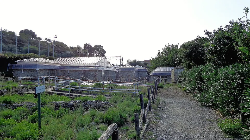 A gravel path edged with a wooden rail runs past low excavated walls in long grass towards several low buildings with pale pitched roofs, with trees and a line of tall poles behind.