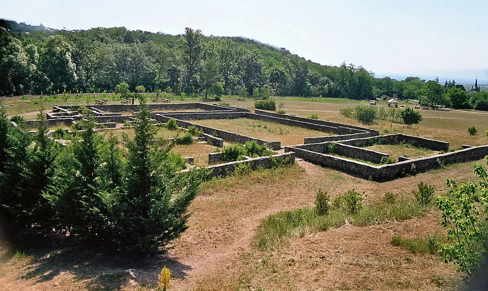 The conserved foundation walls of a large house laid out as a grid of rooms across a dry meadow, with young conifers in the foreground and wooded hills behind.