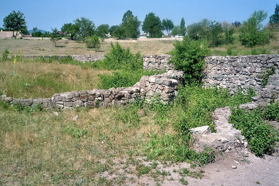 Low walls of rough stone among long grass and bushes, with trees and a road at the edge of the meadow beyond.