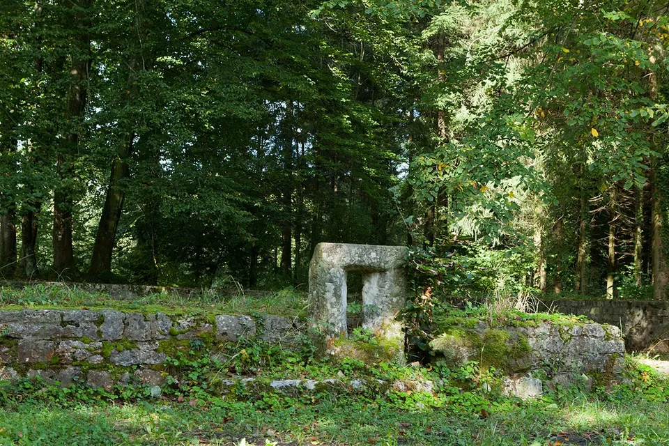 A small stone opening with a lintel set in a low wall of rough stones, overgrown with grass, with tall forest trees behind.